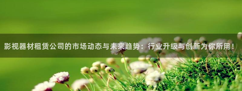 欧美影院草草草：影视器材租赁公司的市场动态与未来趋势：行业升级与创新为你所用！