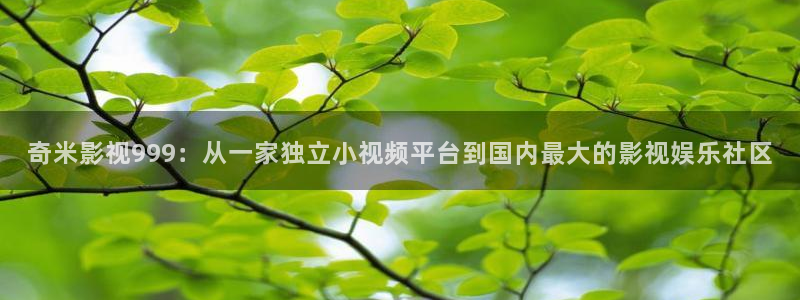 欧美影院最新电影：奇米影视999：从一家独立小视频平台到国内最大的影视娱乐社区