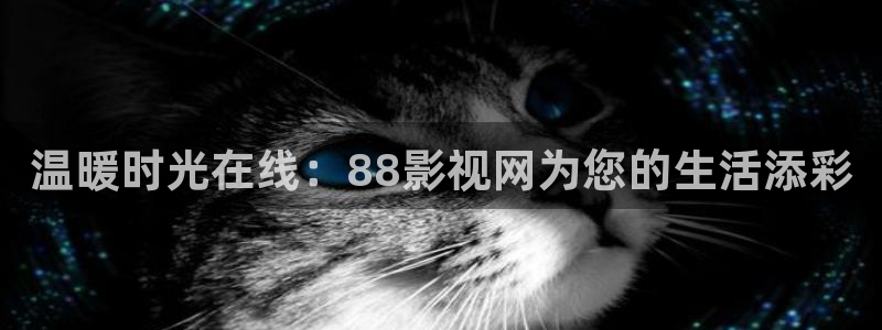 欧美影院日韩影院