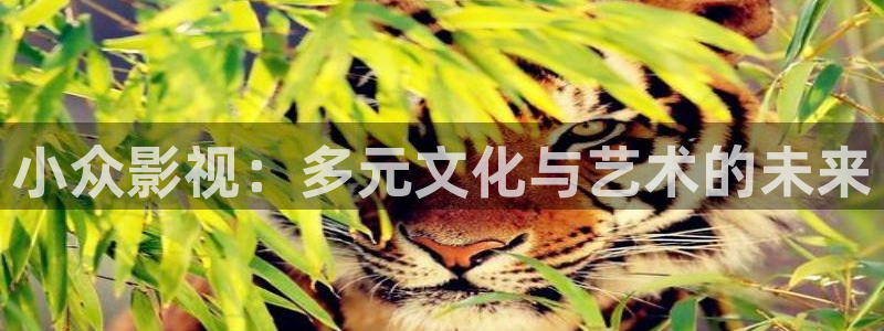 欧美影院在线免费观看