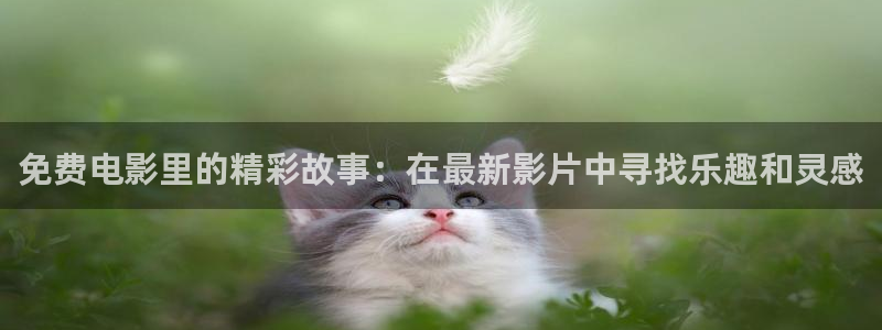 米奇欧美影院