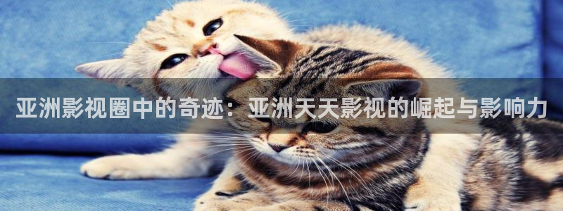 激情欧美影院