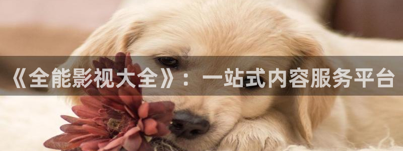 优优色欧美影院免费