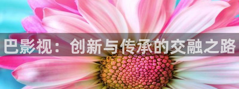 欧美影院在线观看