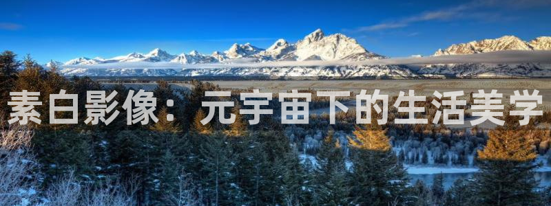 国产欧美影院